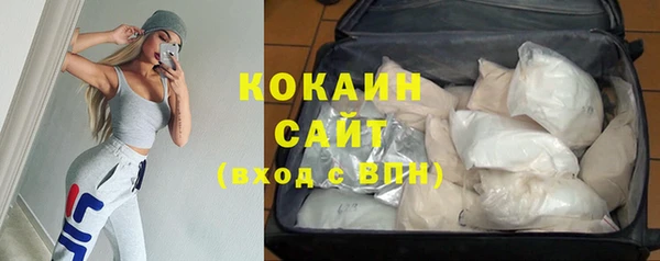 индика Алексин