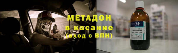 индика Алексин