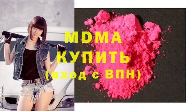 индика Алексин