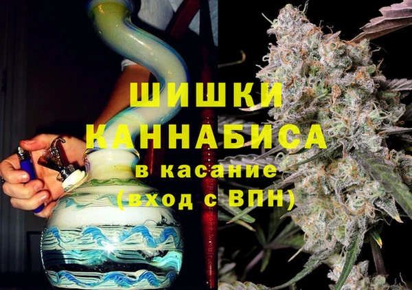 индика Алексин