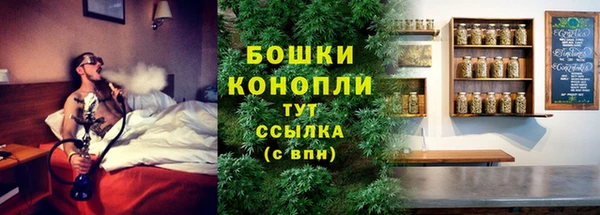 PSILOCYBIN Саяногорск