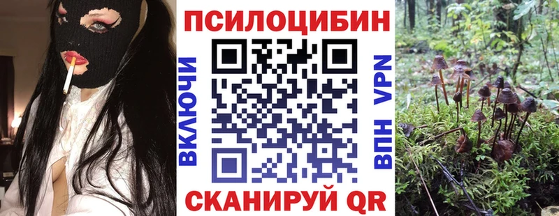 мега ССЫЛКА  Берёзовский  Галлюциногенные грибы MAGIC MUSHROOMS  купить закладку 